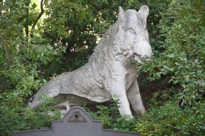 Wild Boar by Unbekannt Unbekannt